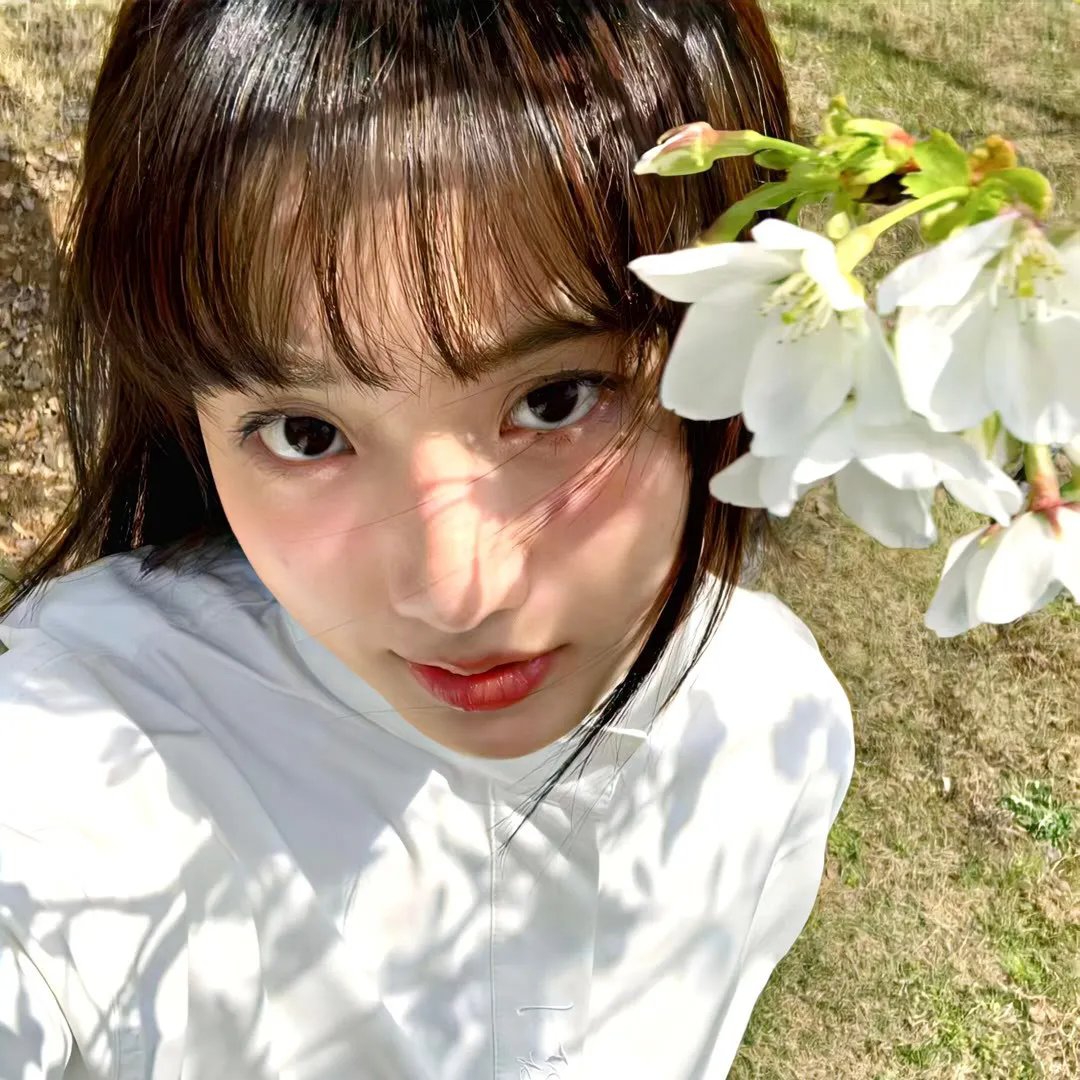 怒海情花