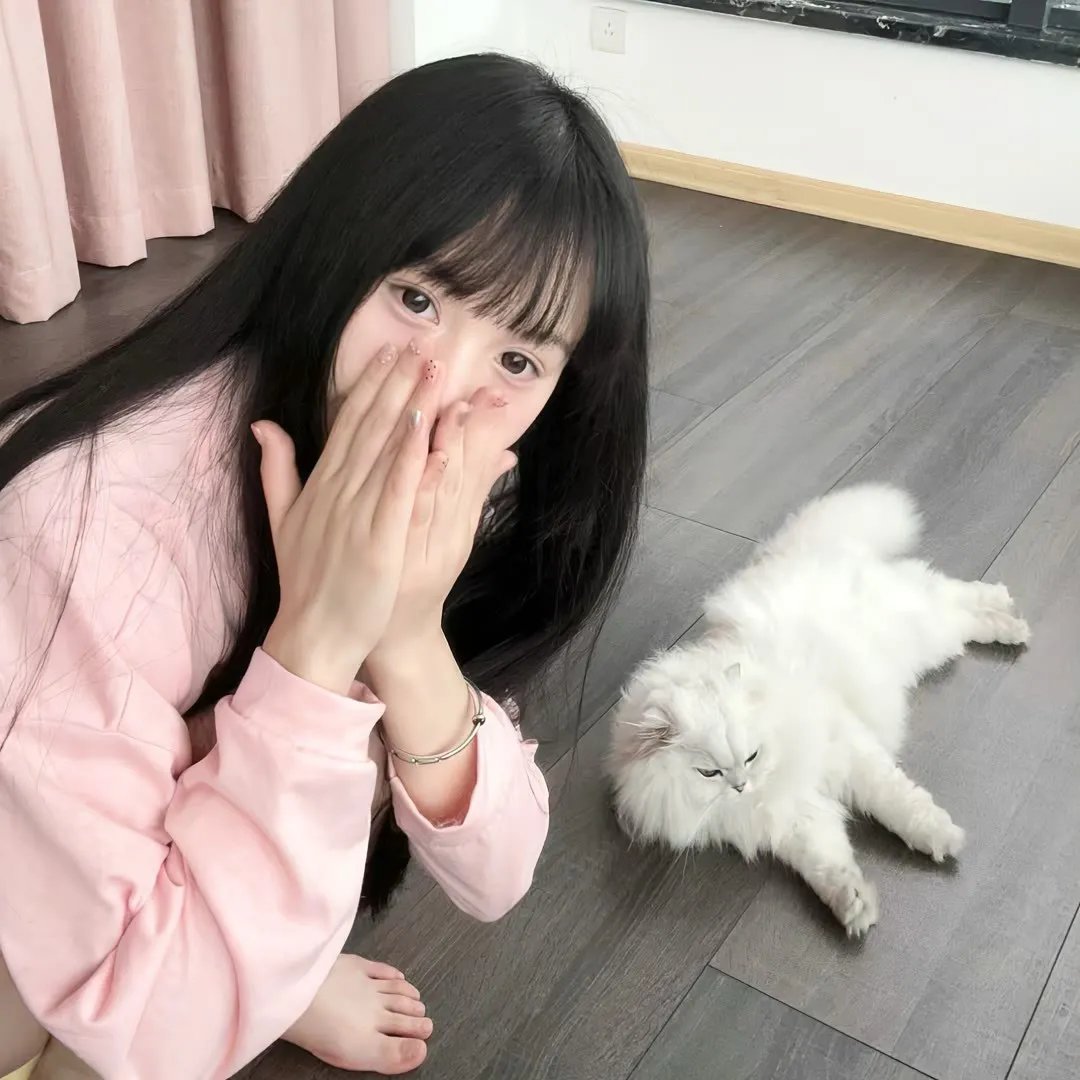 泰迪熊