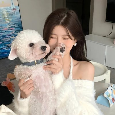 完美的人